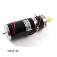 CEREA Kit with 1065_1B + 3269_3 + 3060_0 + 3531_0 + 3339_0